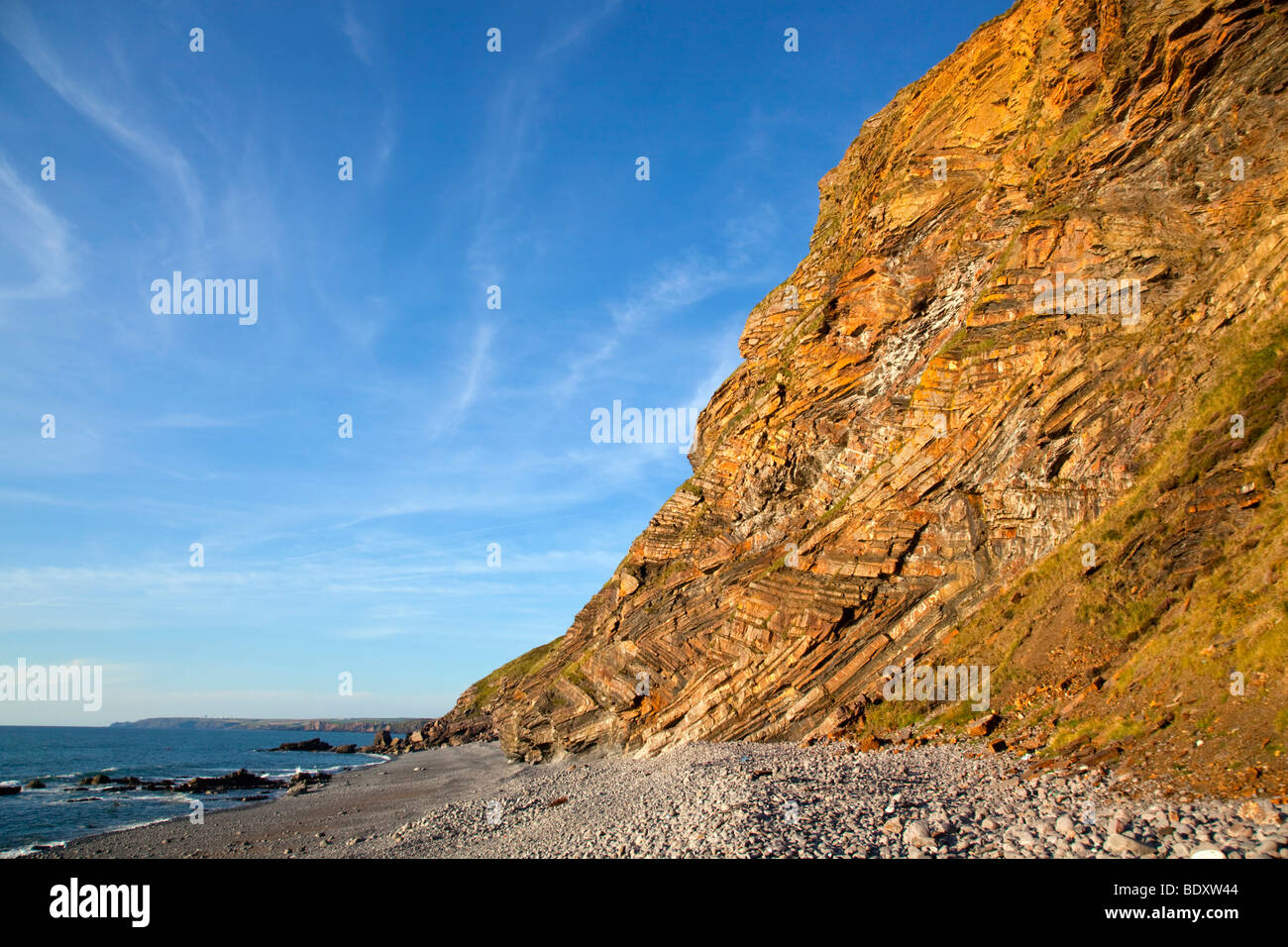 Millook; estratos plegados en el acantilado; Cornwall Foto de stock