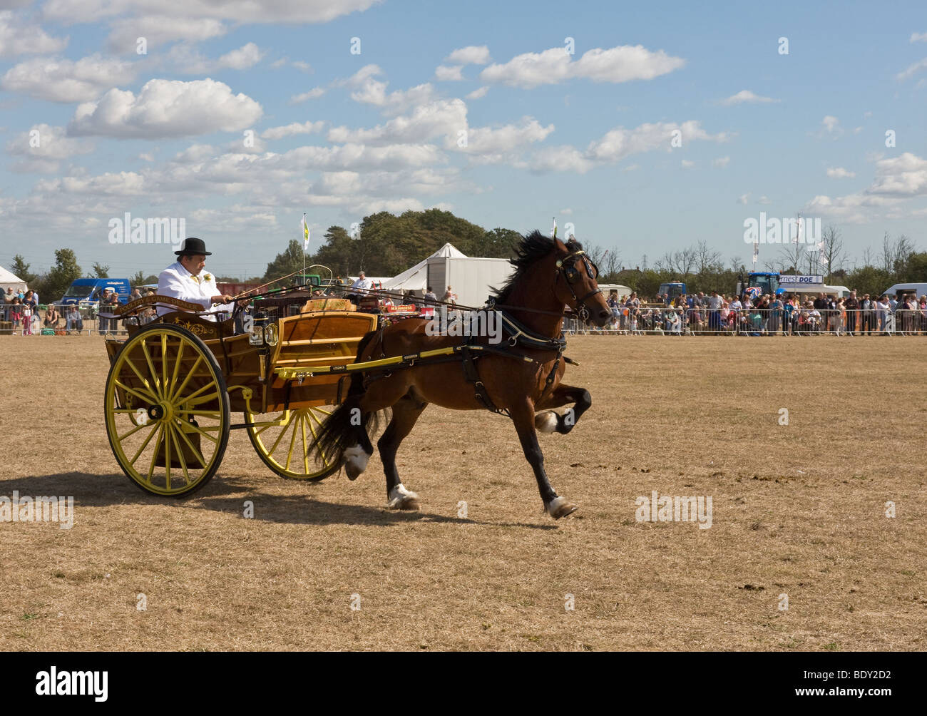 Un caballo tirando de un carro pequeño en un país muestran en Essex