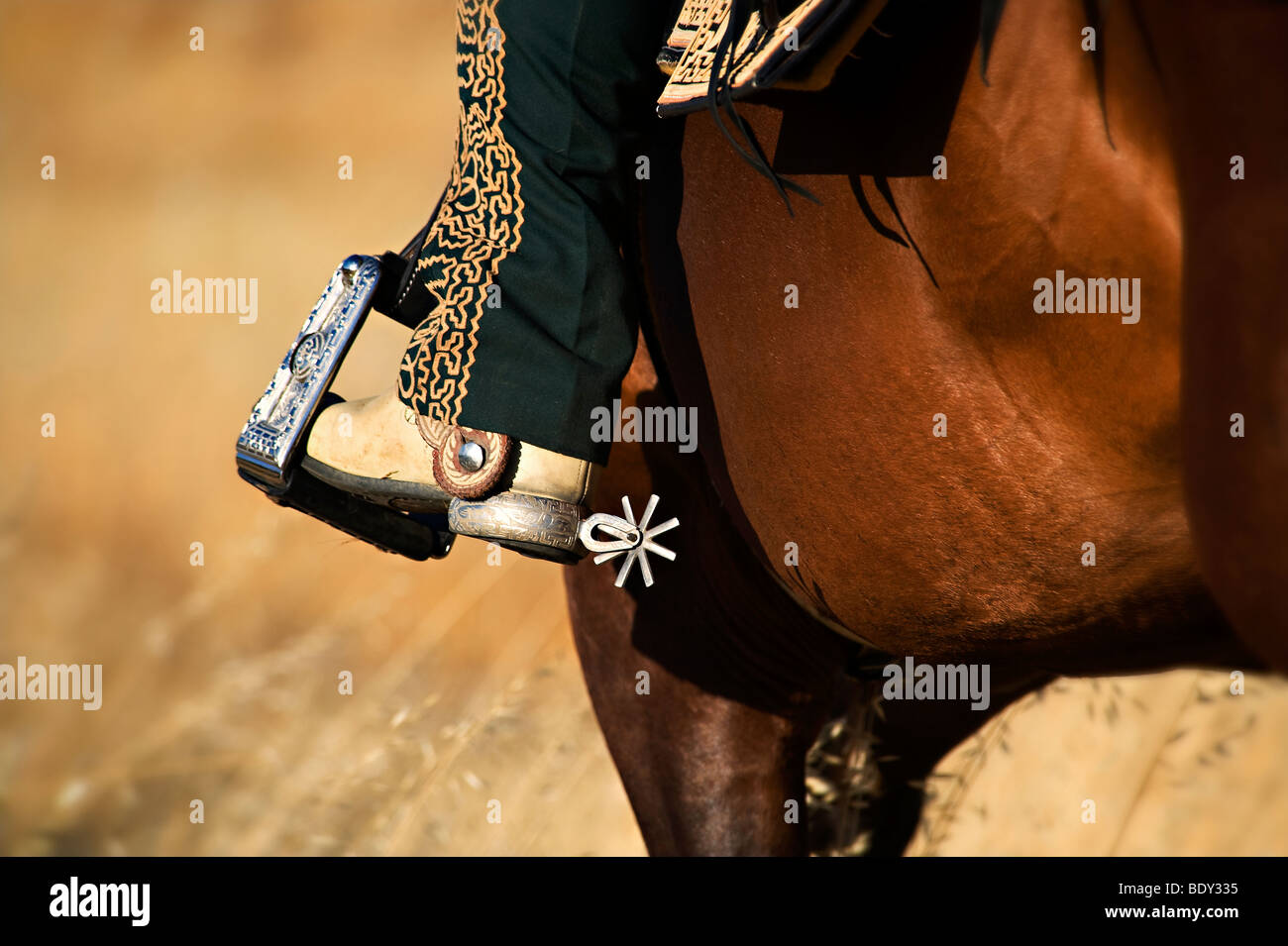 Del Jinete Charro Espuela y detalle de arranque a caballo Foto de stock
