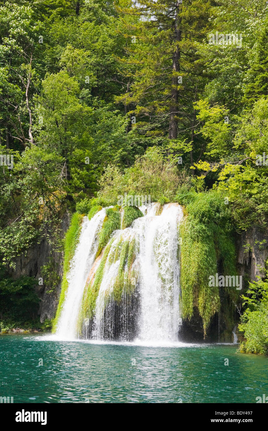 Cascada, Plitvicka Jezera, Parque Nacional de Los Lagos de Plitvice, Lika-Senj, Croacia, Europa Foto de stock