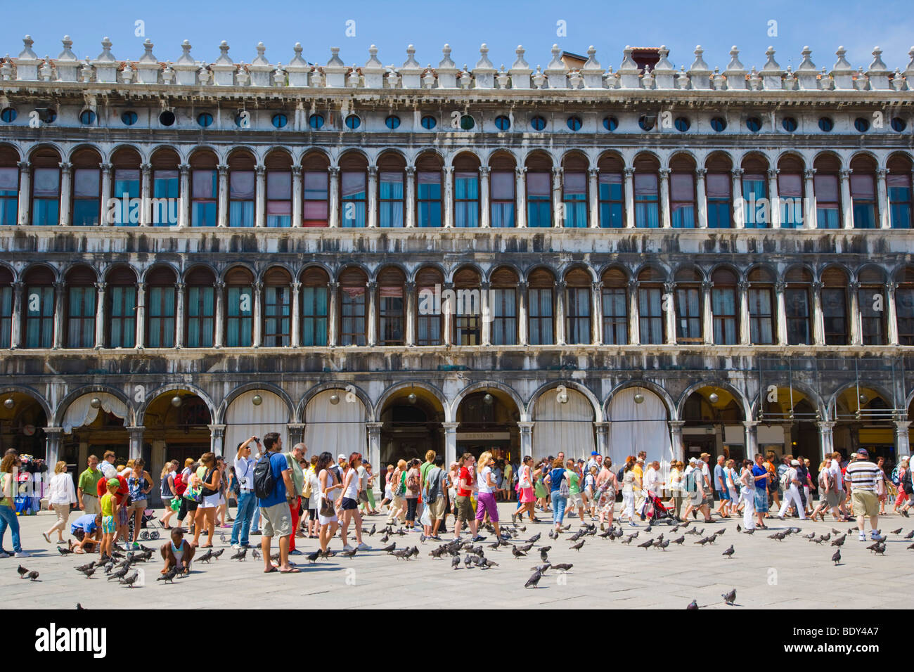 Detalle de las Procuratie Vecchie, Piazza San Marco, la Plaza de San Marcos, en Venecia, Italia, Europa Foto de stock