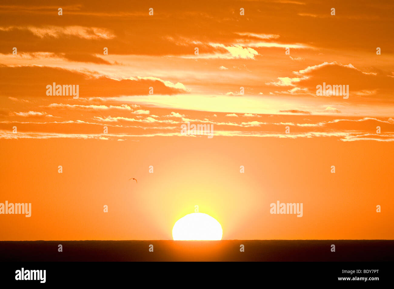 Una puesta de sol contra un cielo naranja Foto de stock