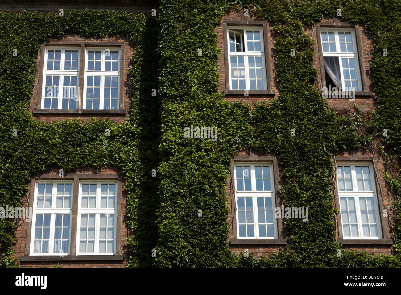 Detalle de una ventana de pared flores verde hiedra Castillo Wawel Cracovia Cracovia, Polonia la elevación Foto de stock