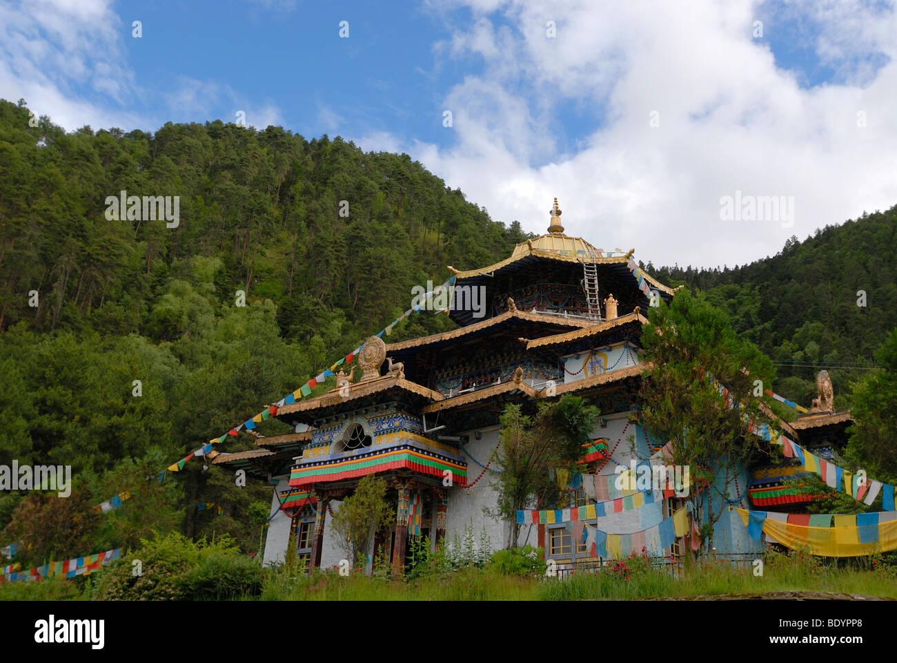 Monasterio budista tibetano Lamaling delante de montañas boscosas en el Himalaya, Nyichi Kongpo, Bayi, Oriental, el Tíbet, China, Foto de stock