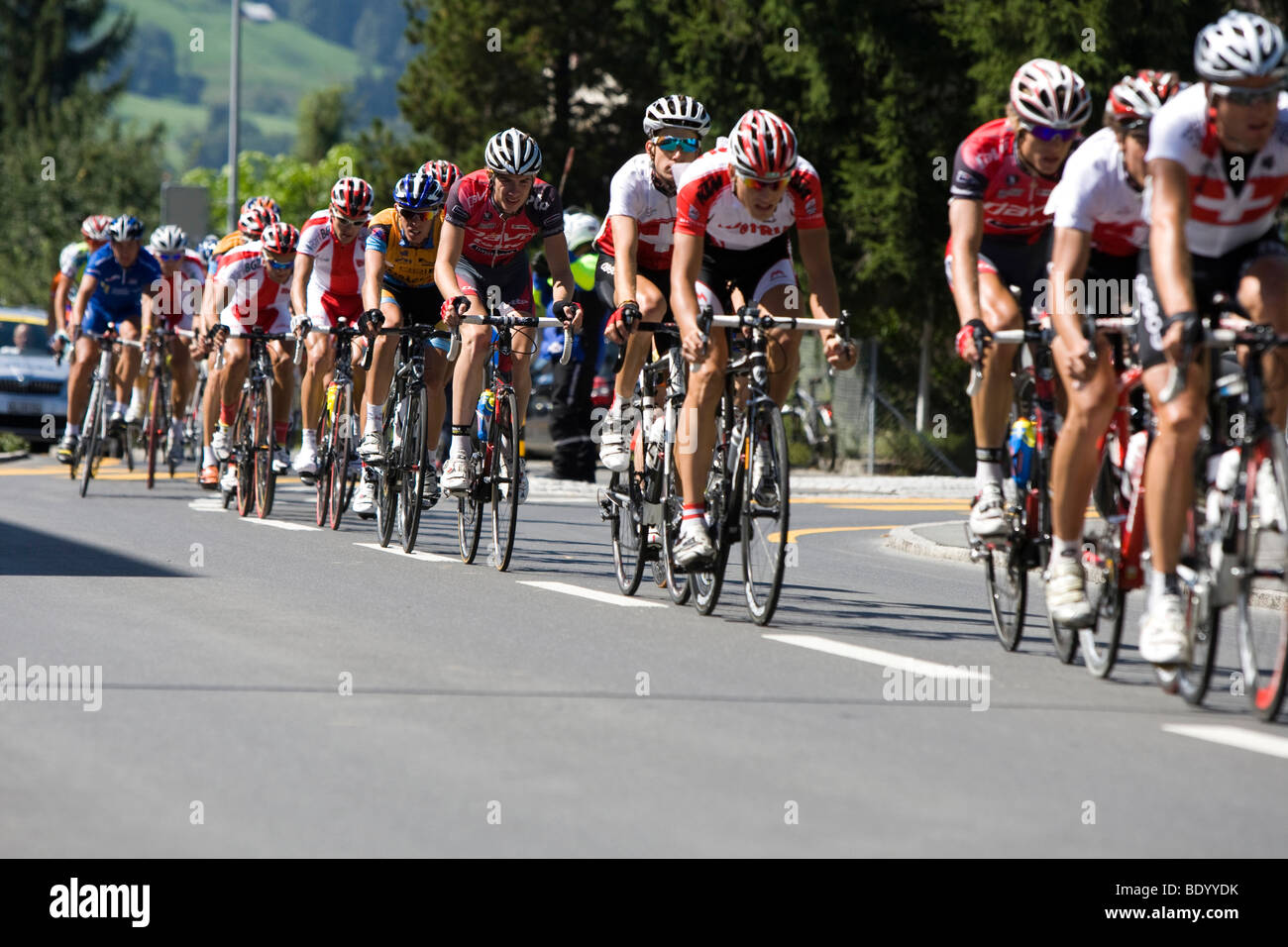 Grupo de ciclistas ciclismo en la GP Díselo a 2009, Suiza, Europa Foto de stock