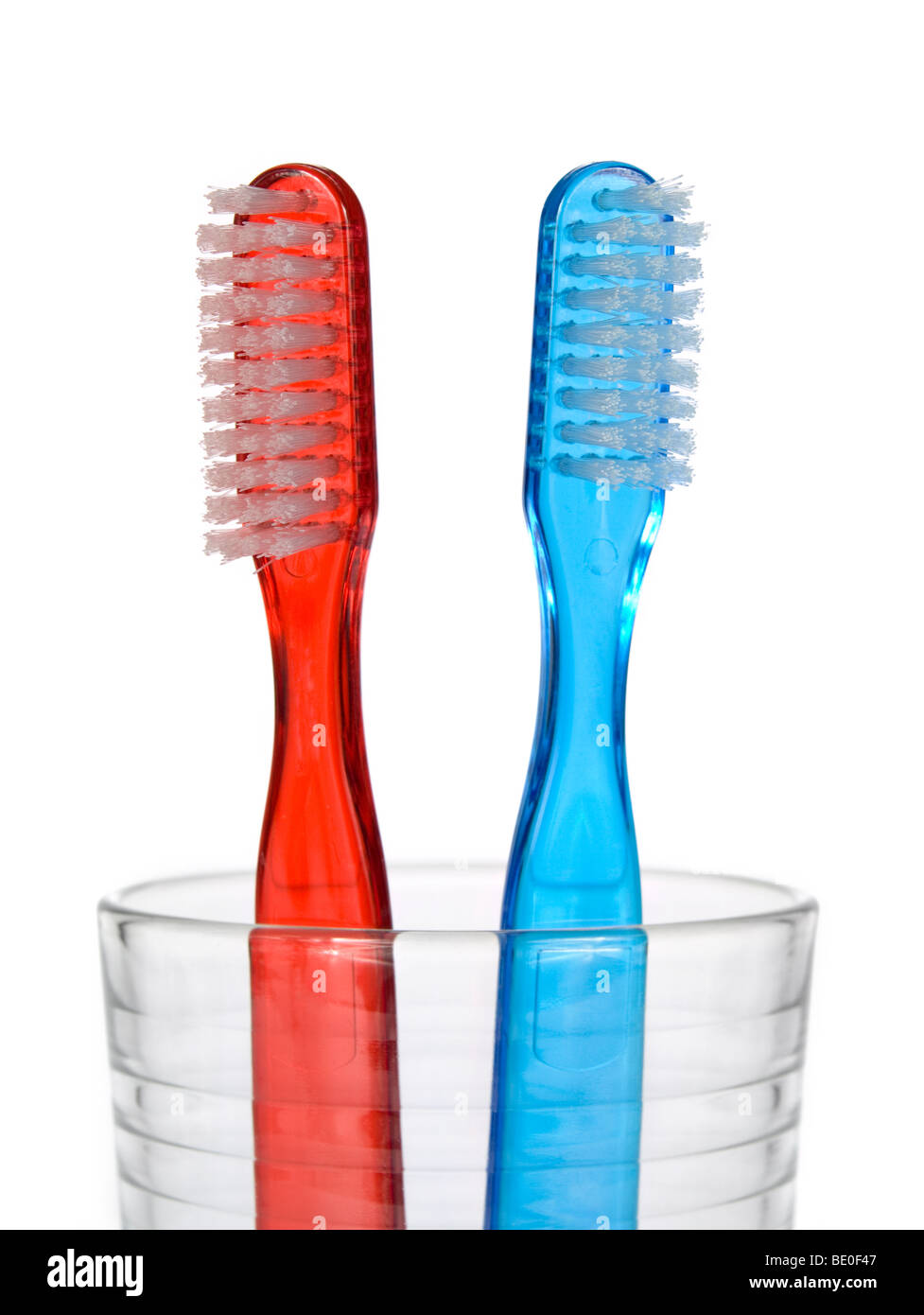 Dos cepillos de dientes en un vaso sobre fondo blanco. Foto de stock
