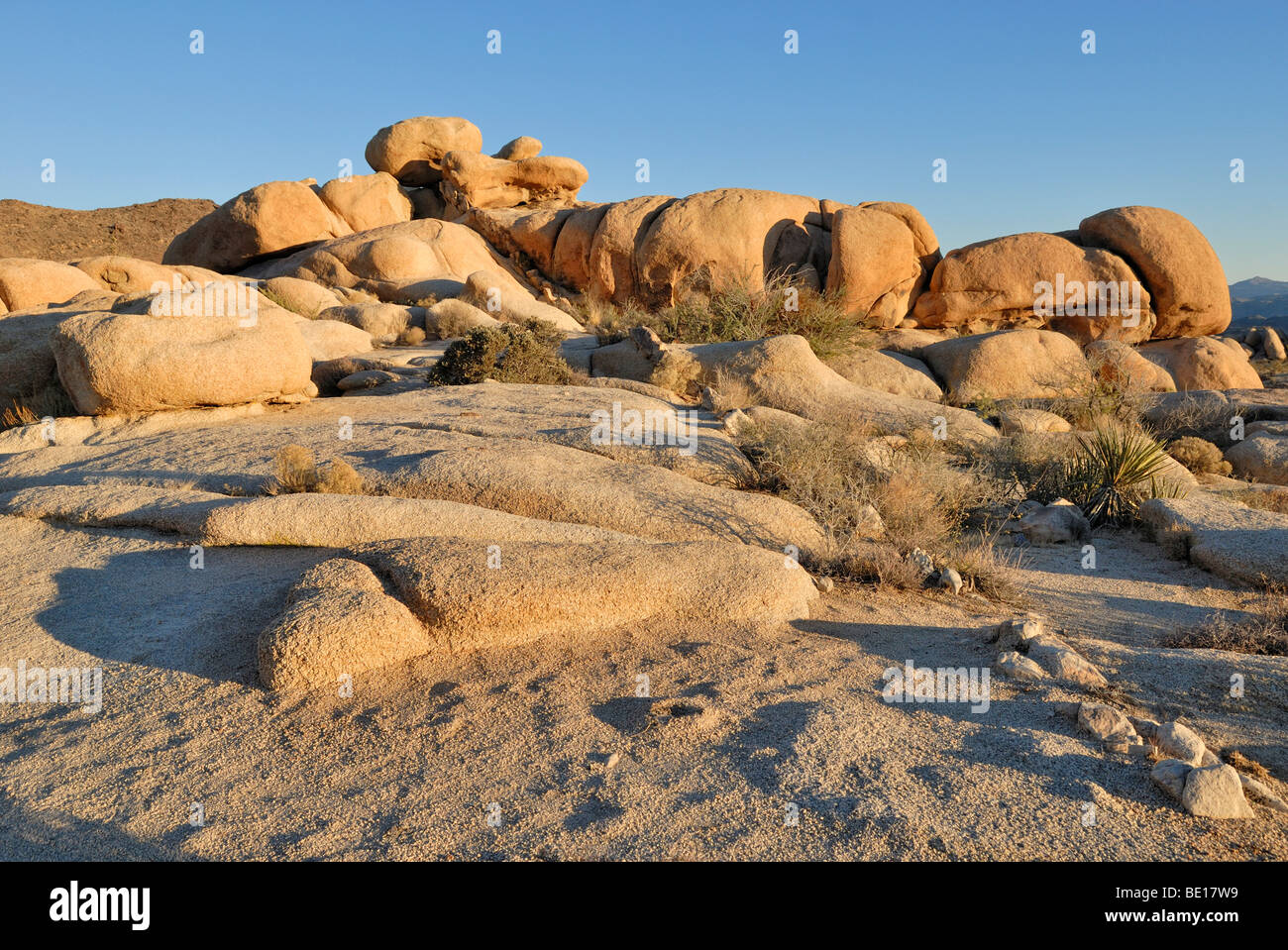 Formación rocosa, el monzogranito, Palm Desert, el Parque Nacional Joshua Tree National Park, California, EE.UU. Foto de stock