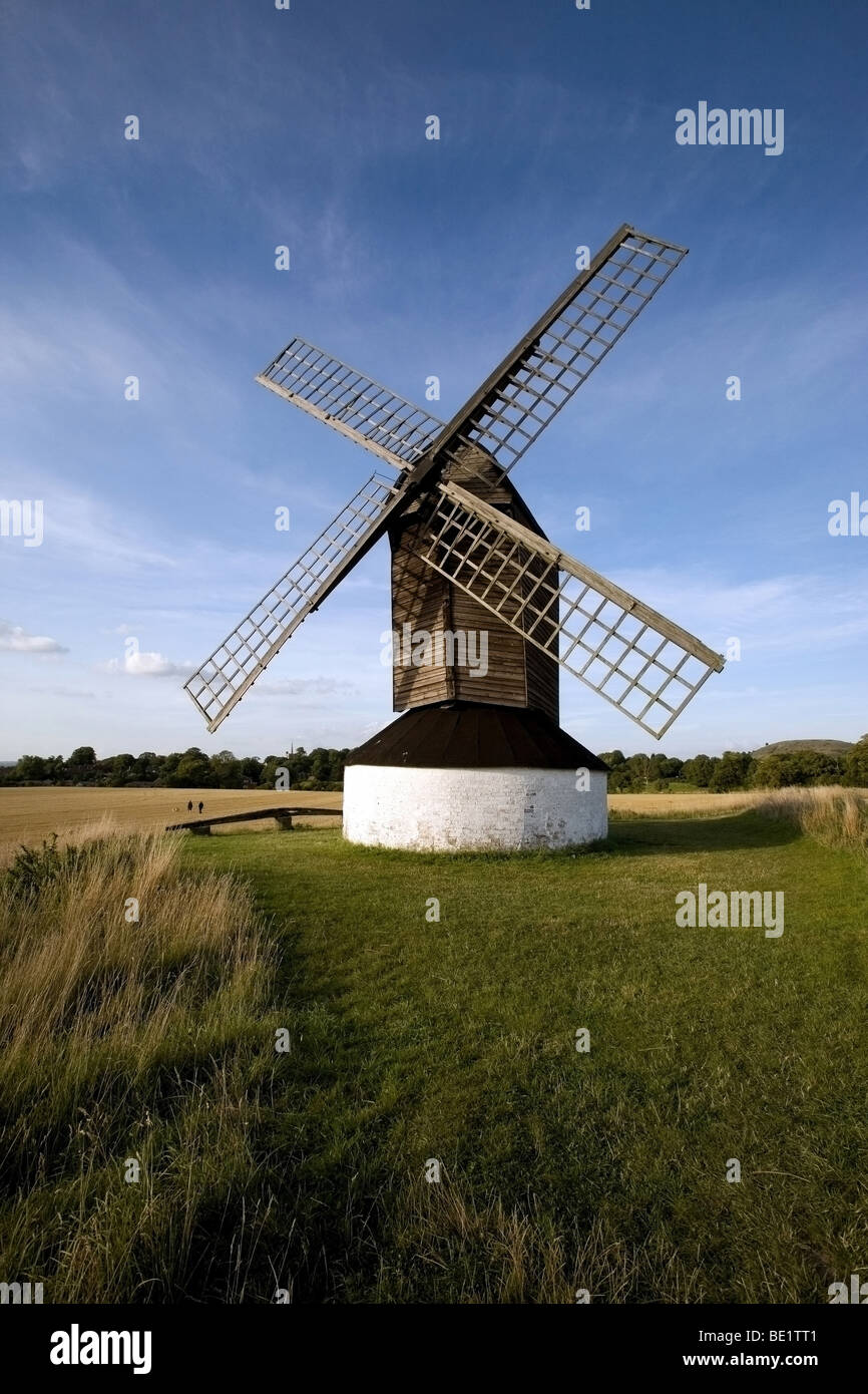 Pitstone Windmill un Fideicomiso Nacional propiedad en un campo de maíz ubicado cerca de Ivinghoe Foto de stock