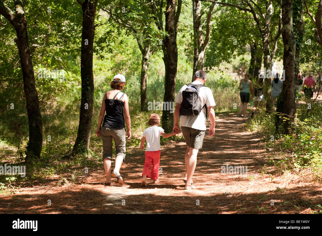 Una familia caminando por un sendero en el bosque en la campiña francesa, Aquitania, Francia, Europa Foto de stock