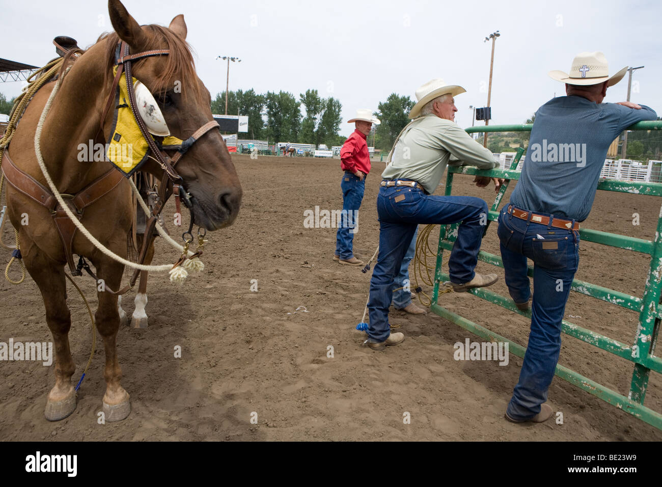 Cowboys fotografías e imágenes de alta resolución Alamy