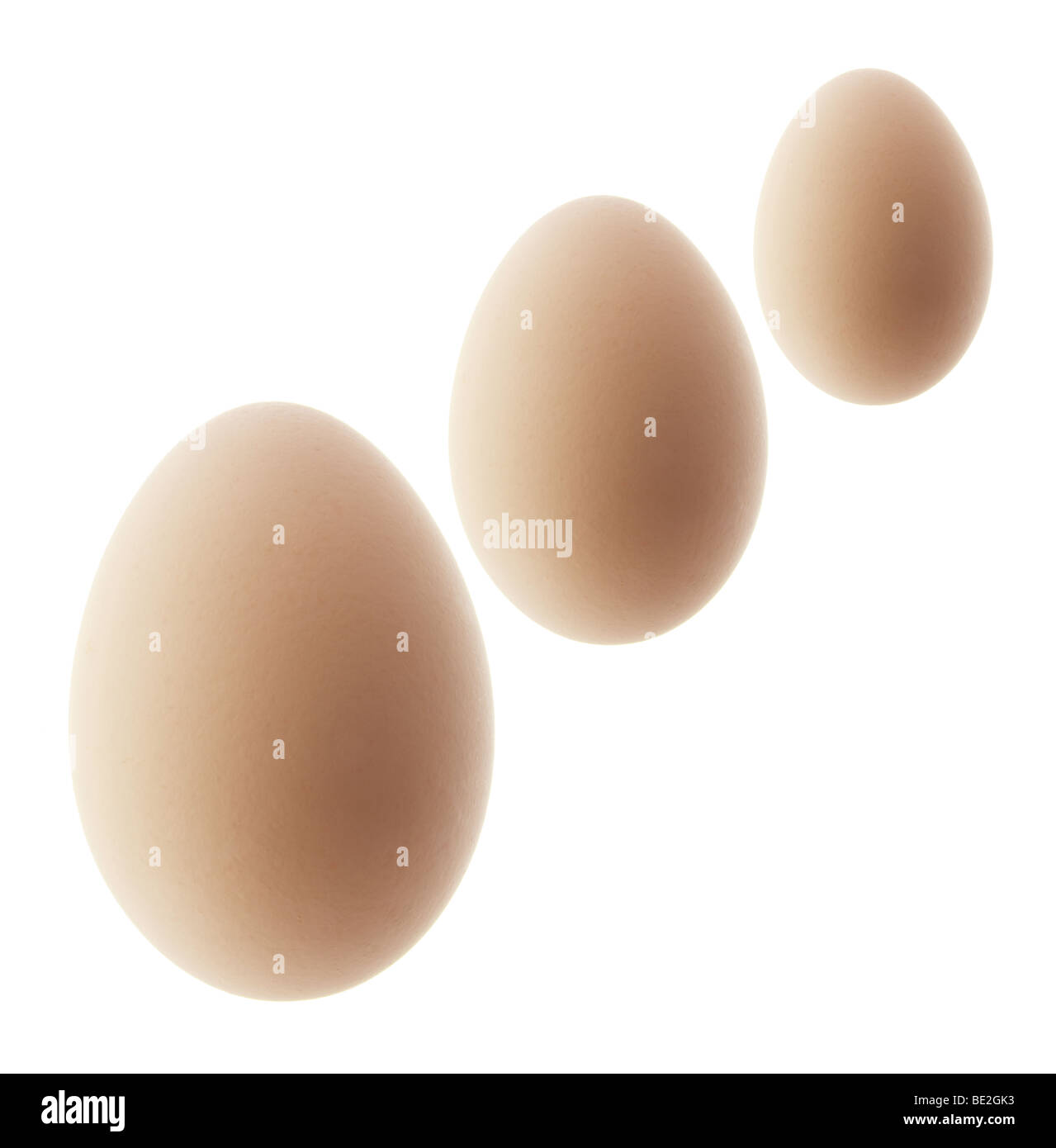 Huevos marrones Foto de stock