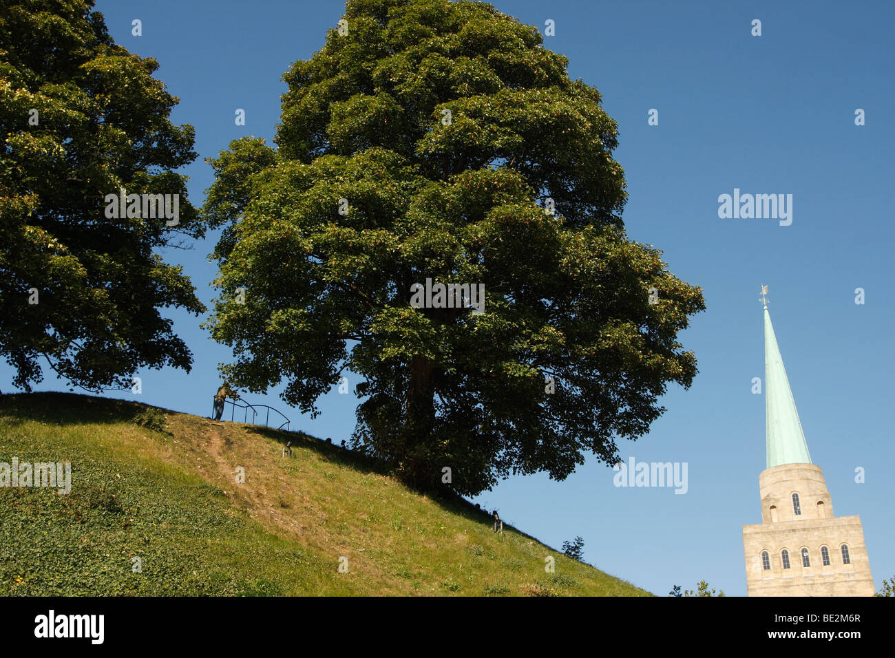 [Oxford Castle Montículo], árboles que crecen en la colina en verano, [Nuffield College] spire, en el fondo, Oxford, Oxfordshire, Inglaterra, Reino Unido. Foto de stock