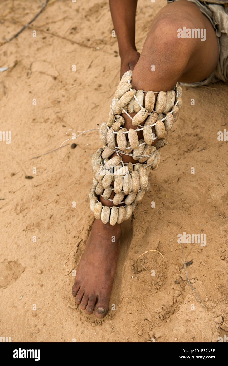 Necesitar Piñón Prestador Naro Bushman (San) sonaja atado vainas alrededor de las piernas para  bailar, del Kalahari Central, Botsuana Fotografía de stock - Alamy