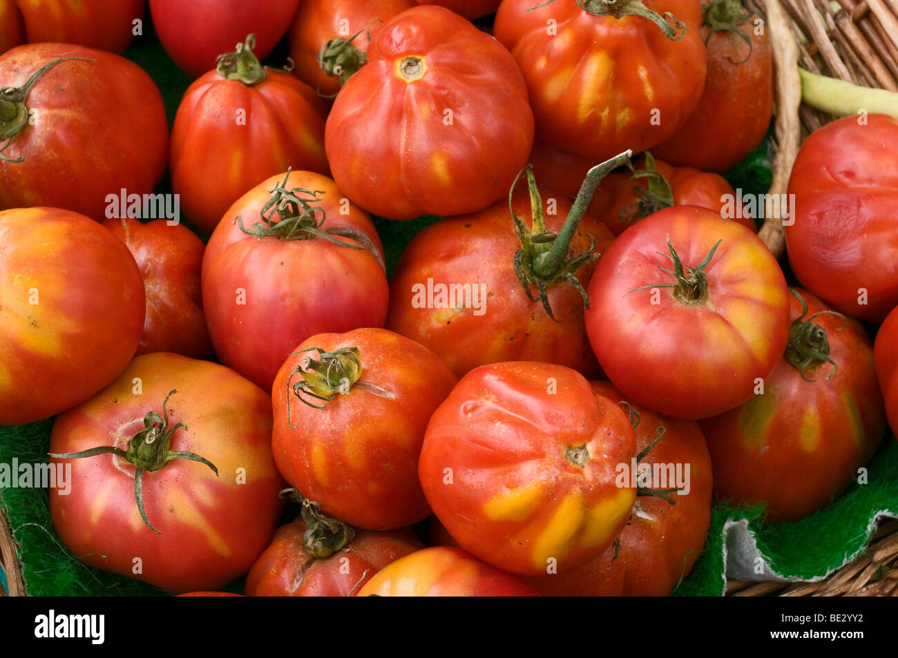 Oxheart tomates maduros apilados en granel. Foto de stock