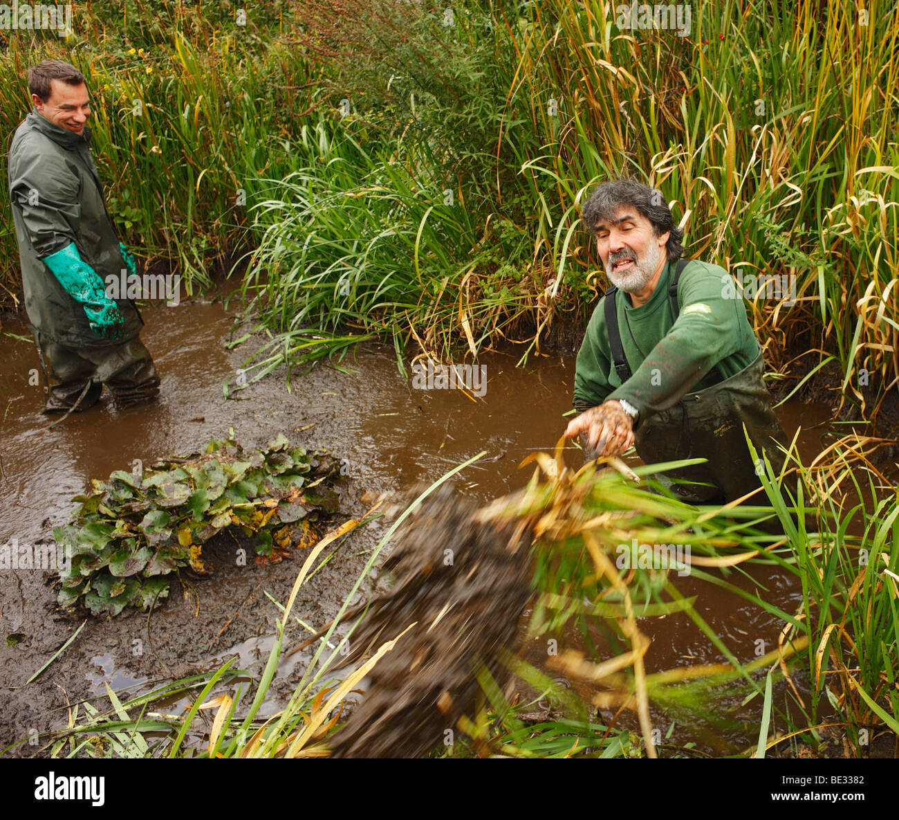 Los hombres desactivando un estanque cubierto. Alta Elms Country Park, Bromley, Londres, Kent, Inglaterra, Reino Unido. Foto de stock