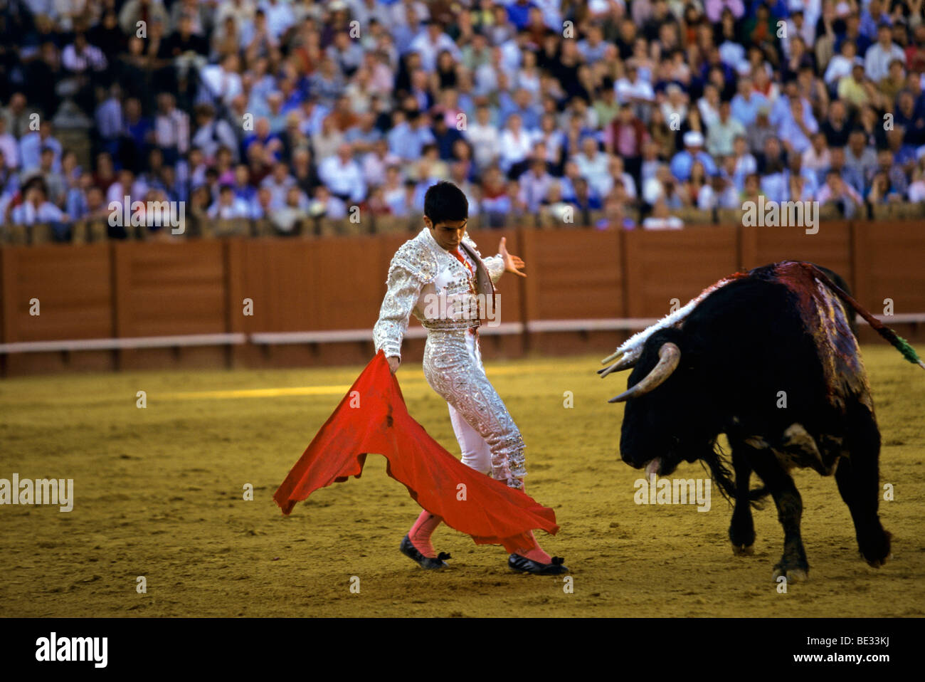 Corrida de toros en la Plaza de toros, Sevilla, Andalucía, España, Europa Foto de stock