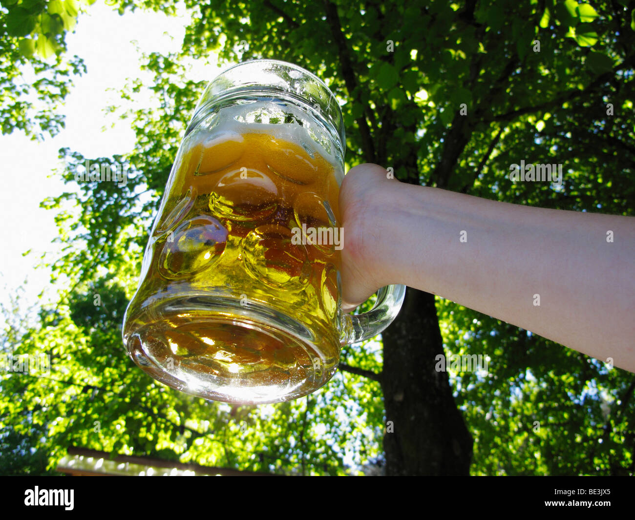 Una masa de cerveza, dos litros de cerveza cristal, Fischbach, Alta Baviera, Baviera, Alemania, Europa Foto de stock