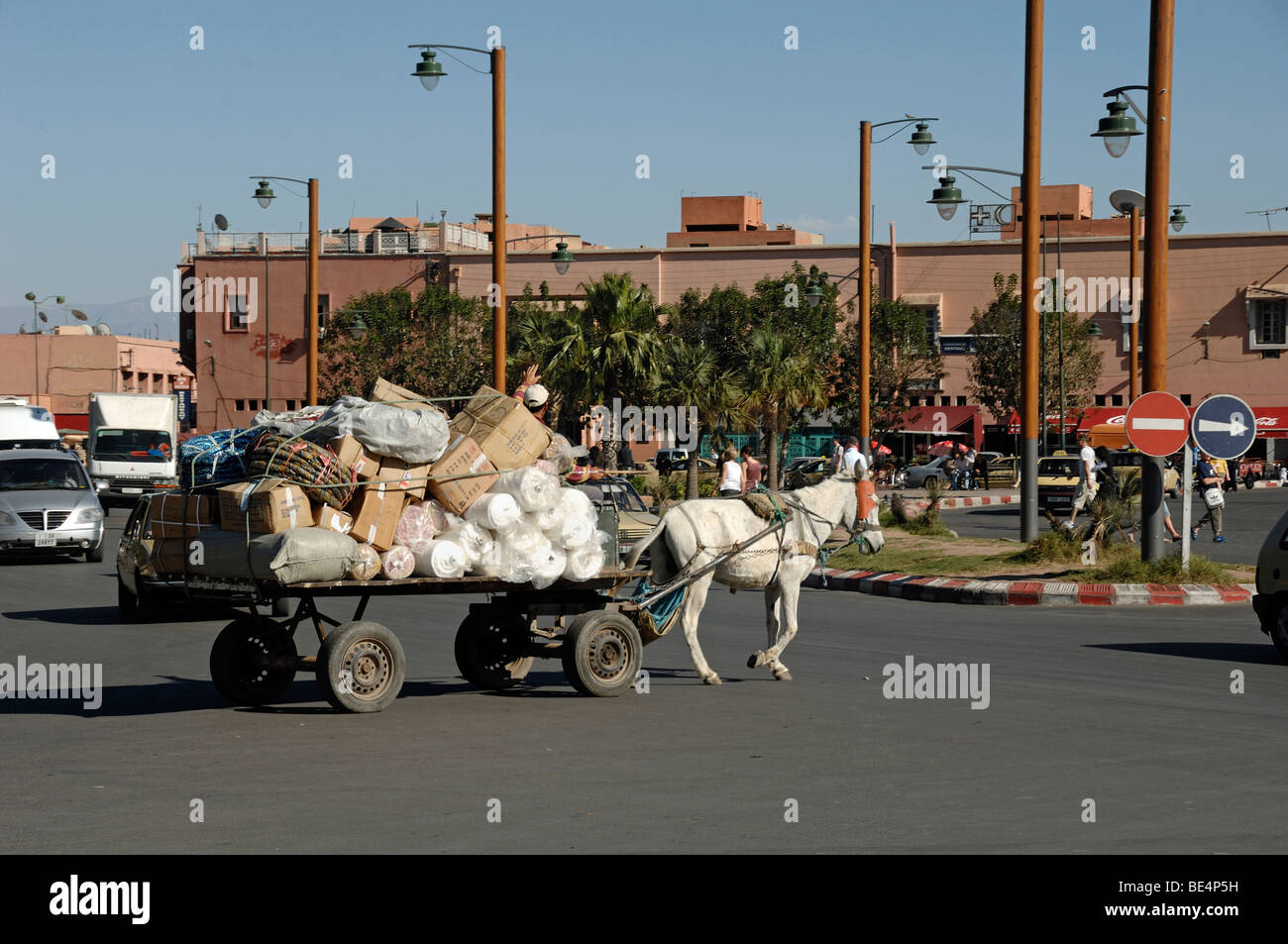 Un coche de caballos y el conductor mantiene el tráfico en una avenida principal en el casco antiguo de Marrakech, Marruecos Foto de stock