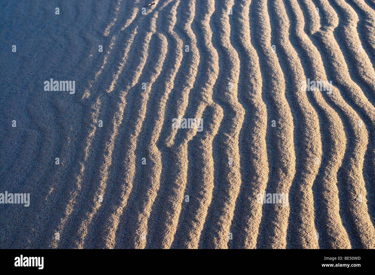 Las olas en la arena de las dunas de arena blanca, Bau Ba "Sahara Vietnamita", Bao Trang, Lago Blanco, Vietnam, Asia Foto de stock