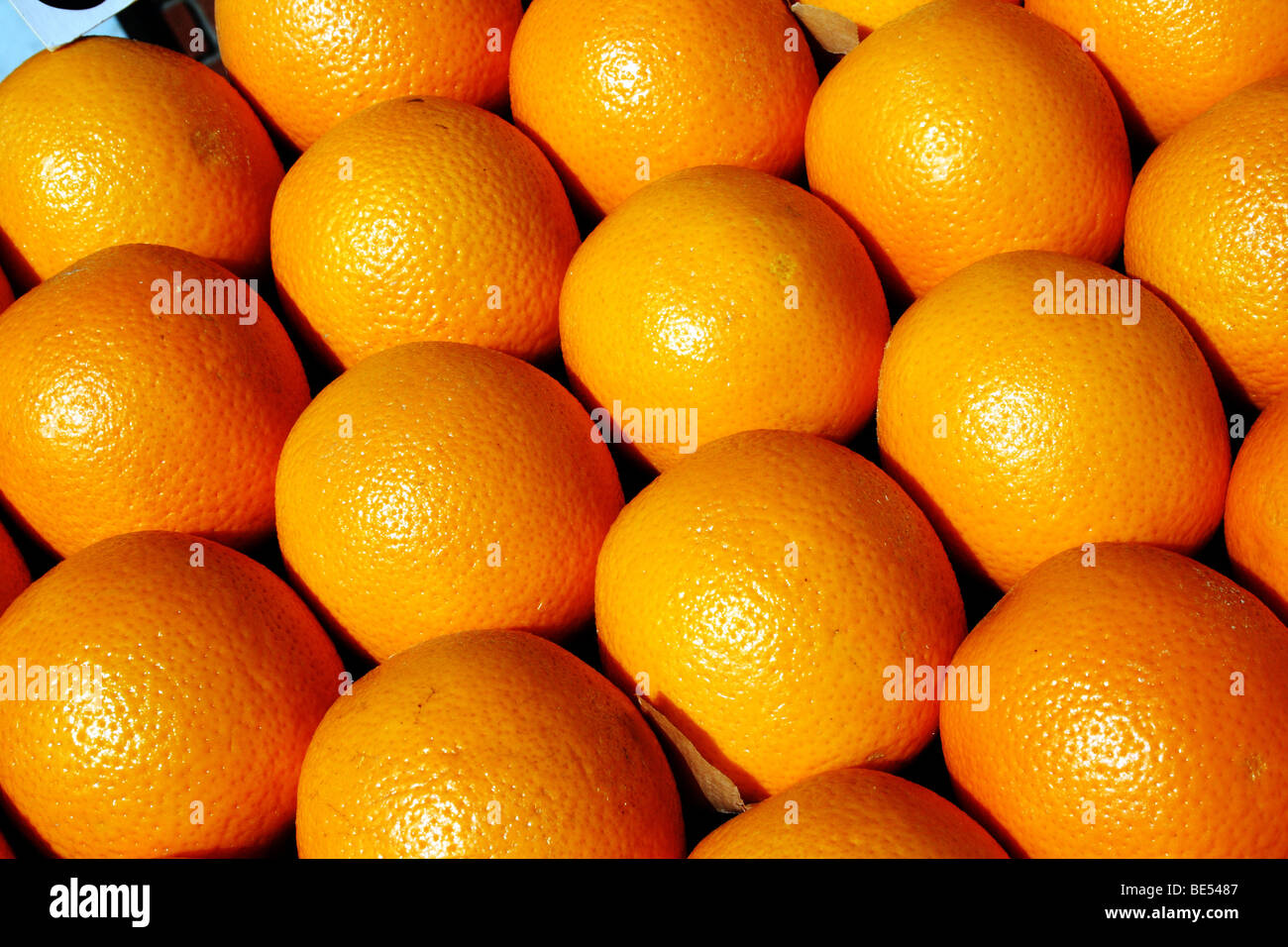 Las naranjas un cítrico rico en vitamina C familia Rutáceas Foto de stock