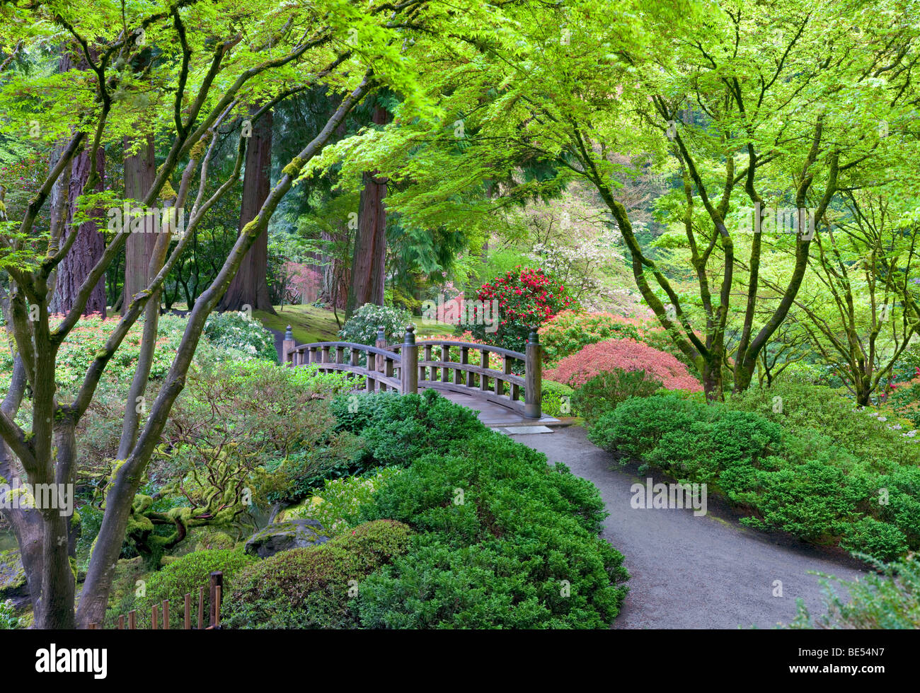 Puente y crecimiento a comienzos de la primavera. Portland, Oregon, los jardines japoneses. Foto de stock