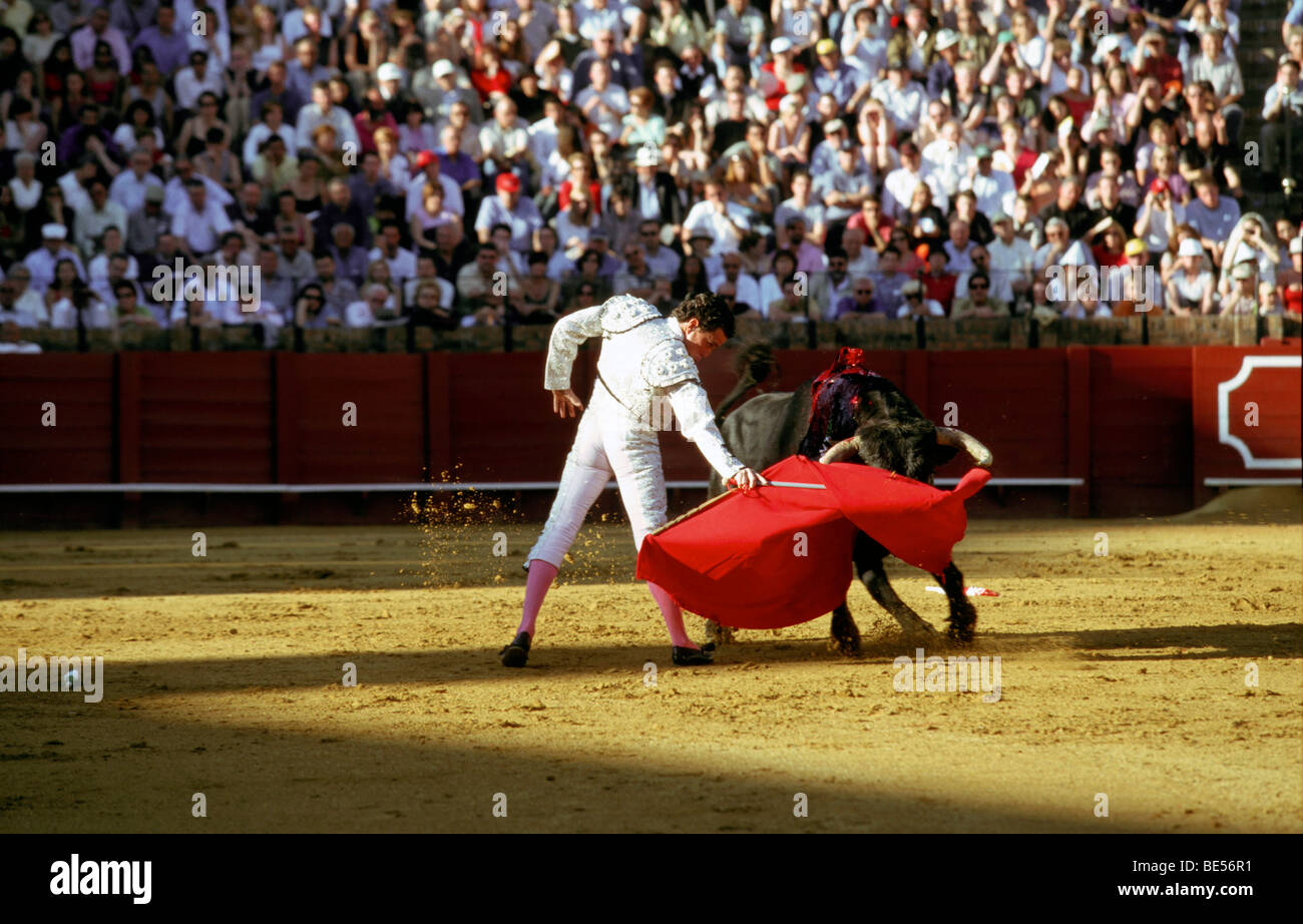 Corrida de toros en la Plaza de toros, Sevilla, Andalucía, España, Europa Foto de stock