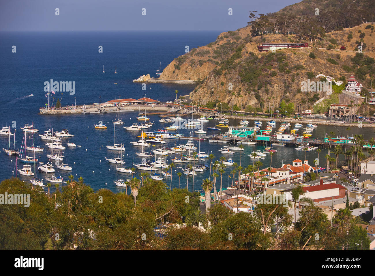 AVALON, CA, EE.UU. El puerto y la ciudad de Avalon, Santa Catalina