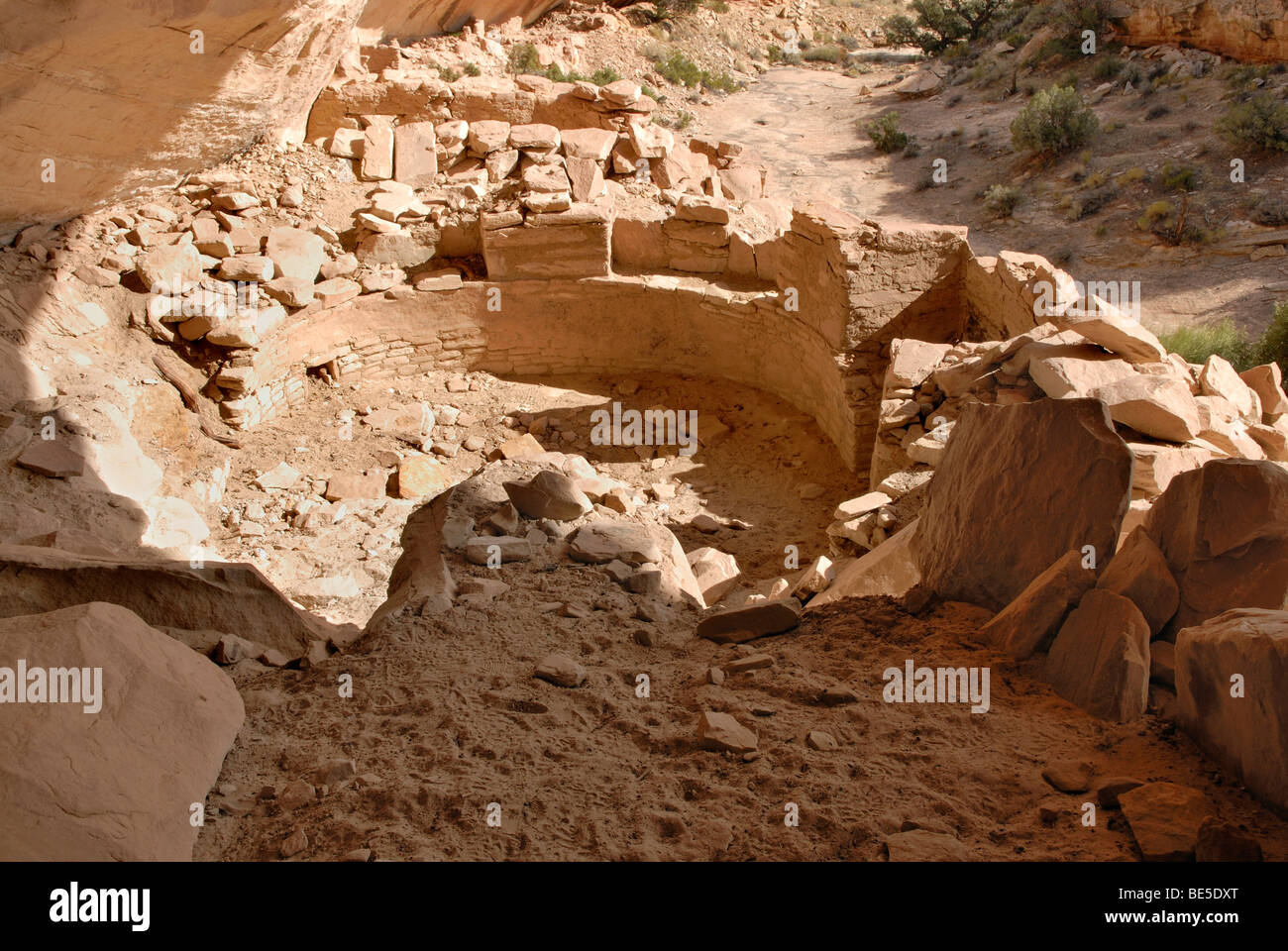 Restos históricos de una kiva, sitio cultural de los indios anasazi alrededor de 1100 AD, Cold Springs cueva cerca de Bluff, Utah, EE.UU. Foto de stock