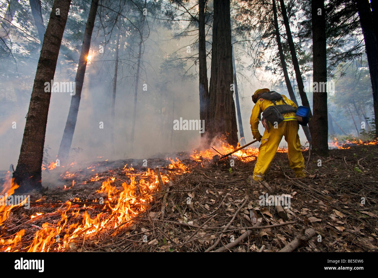 Los bomberos forestales en California Lockheed wildfire en montañas de Santa Cruz. CALFIRE/CDF Foto de stock