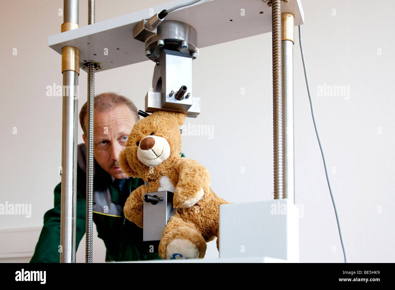 La prueba de la solidez de las costuras sobre un oso de peluche, para la marca de certificación GS, pruebas de seguridad, en un laboratorio de ensayos de la Foto de stock