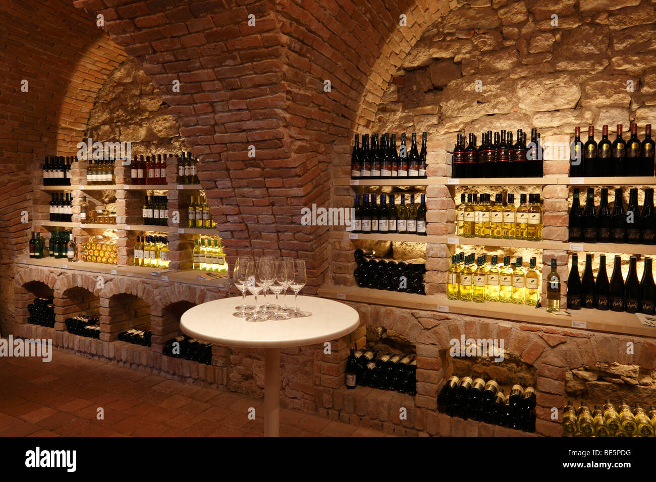 Vinoteca bodega en el Schloss Mailberg castillo, región de Weinviertel, Baja Austria, Austria, Europa Foto de stock