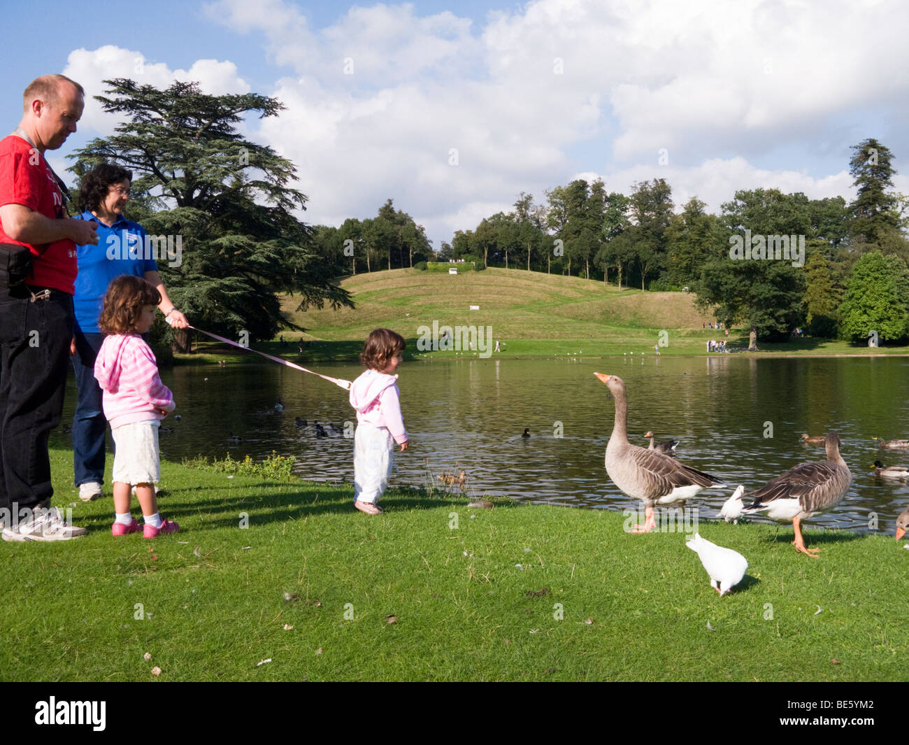 Familia con hija joven en riendas mira gansos en Claremont Park, Esher, Surrey. En el Reino Unido. Foto de stock