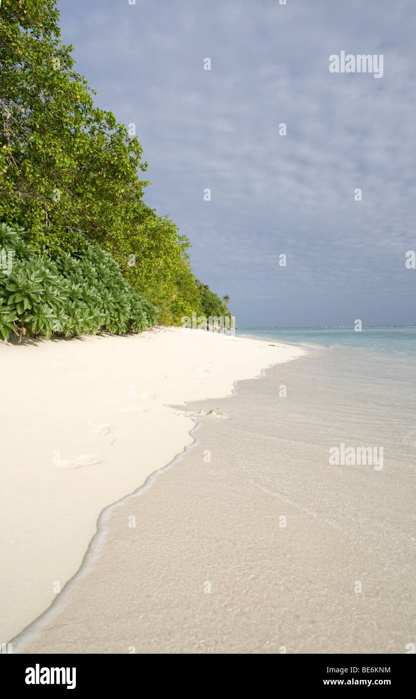 Playa aislada en Vavau Islands Tonga Foto de stock