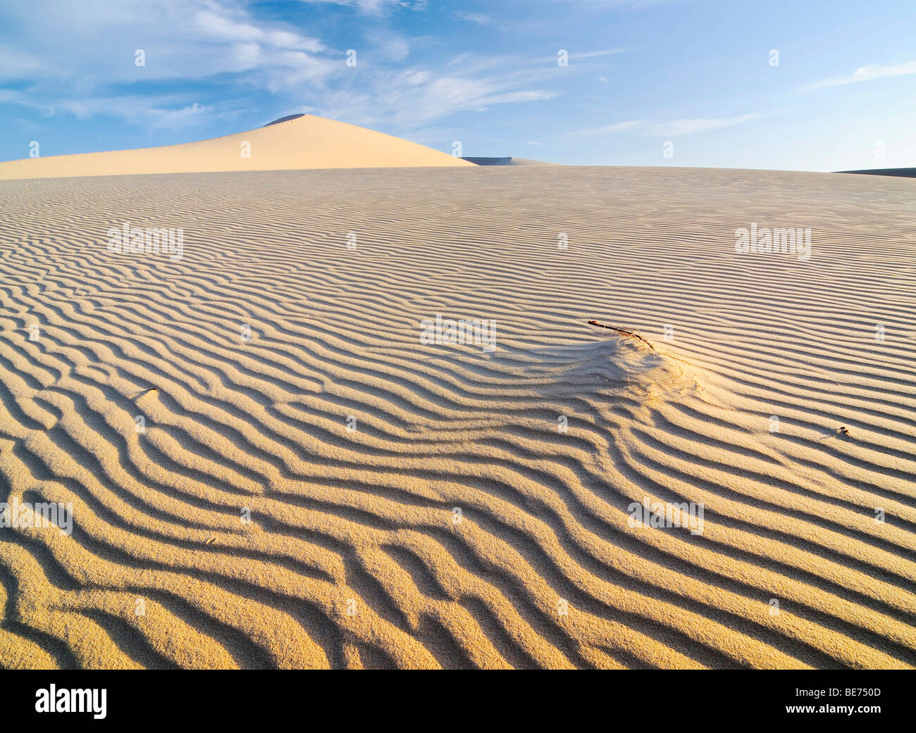 Paisaje desértico y dunas de arena blanca, Bau Ba "Sahara Vietnamita", Bao Trang, Lago Blanco, Vietnam, Asia Foto de stock