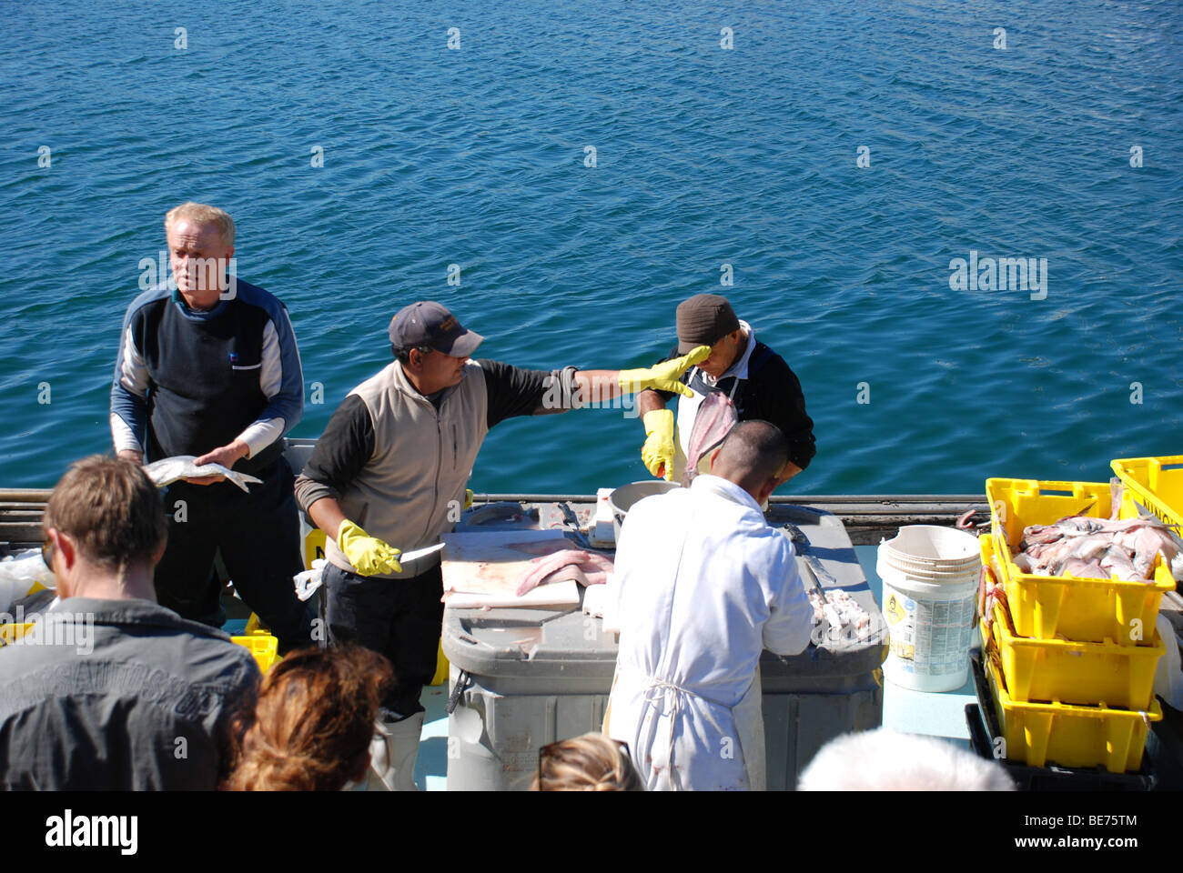 Mercado de domingo en Wellington, Nueva Zelanda. Se vende pescado fresco directamente desde el barco. Aquí el velero con preparar el pescado para su venta. Foto de stock