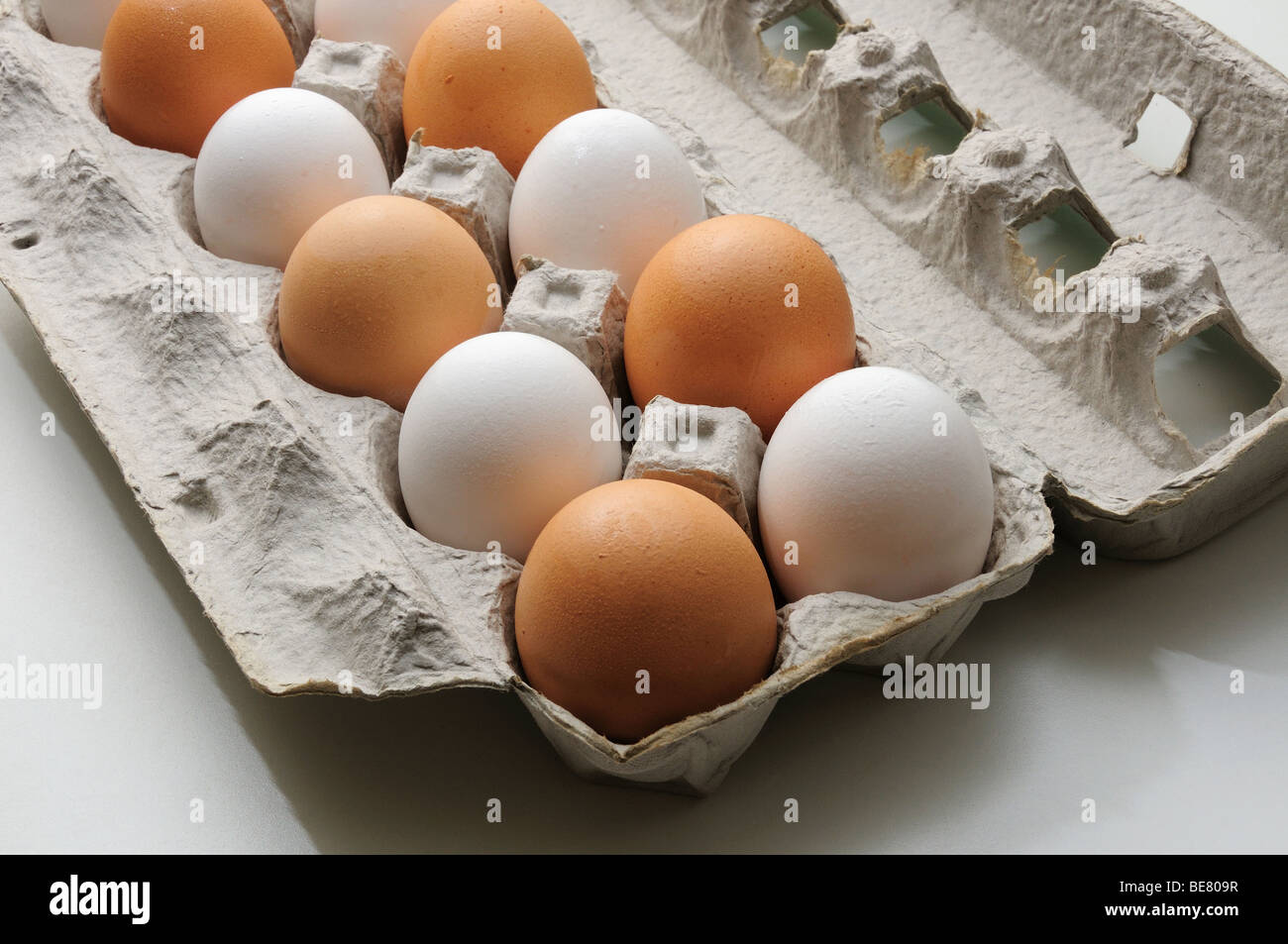 Blanco y marrón huevos orgánicos en un documento de cartón. Foto de stock