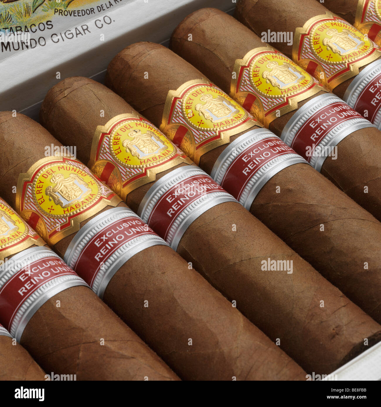 Una caja de cigarros de La Habana. Foto de stock