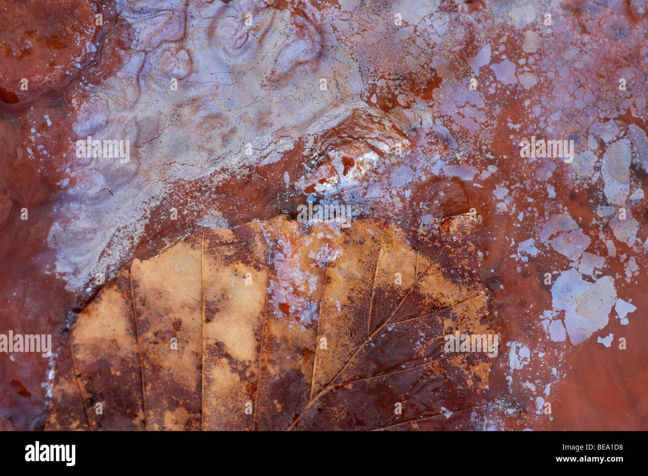 Capa de minerales en el agua que parece una capa de aceite Foto de stock