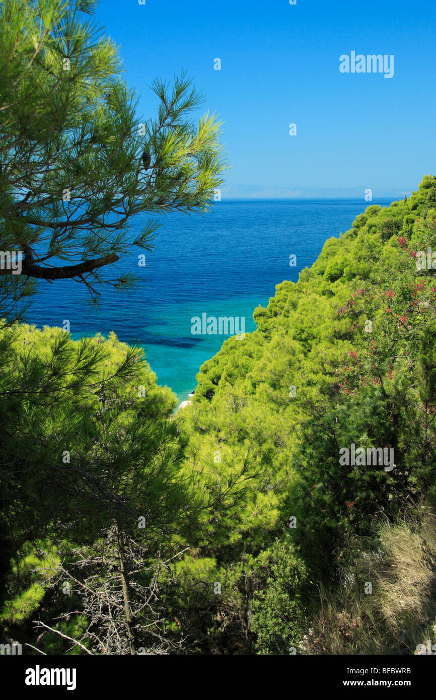 En la costa del Mar Adriático, Croacia Zivogosce Foto de stock