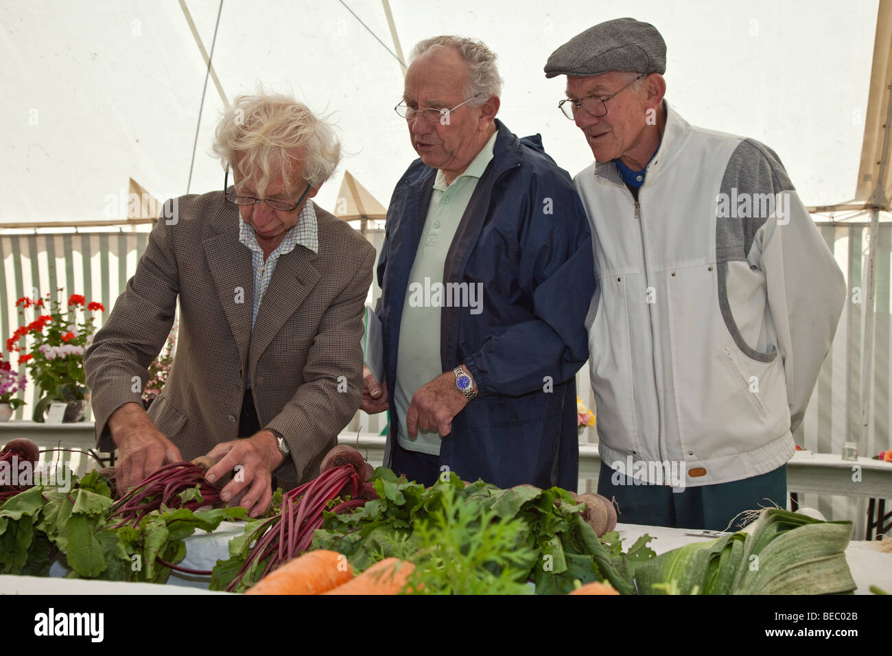 Expositores, Wensleydale Agrcultural Show, celebrada a principios de septiembre cerca de Leyburn, North Yorkshire Foto de stock