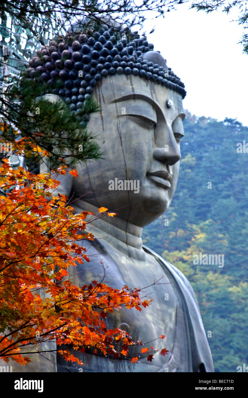Estatua de Buda en Shinheungsa templo budista, el Parque Nacional de Seoraksan, Corea del Sur Foto de stock