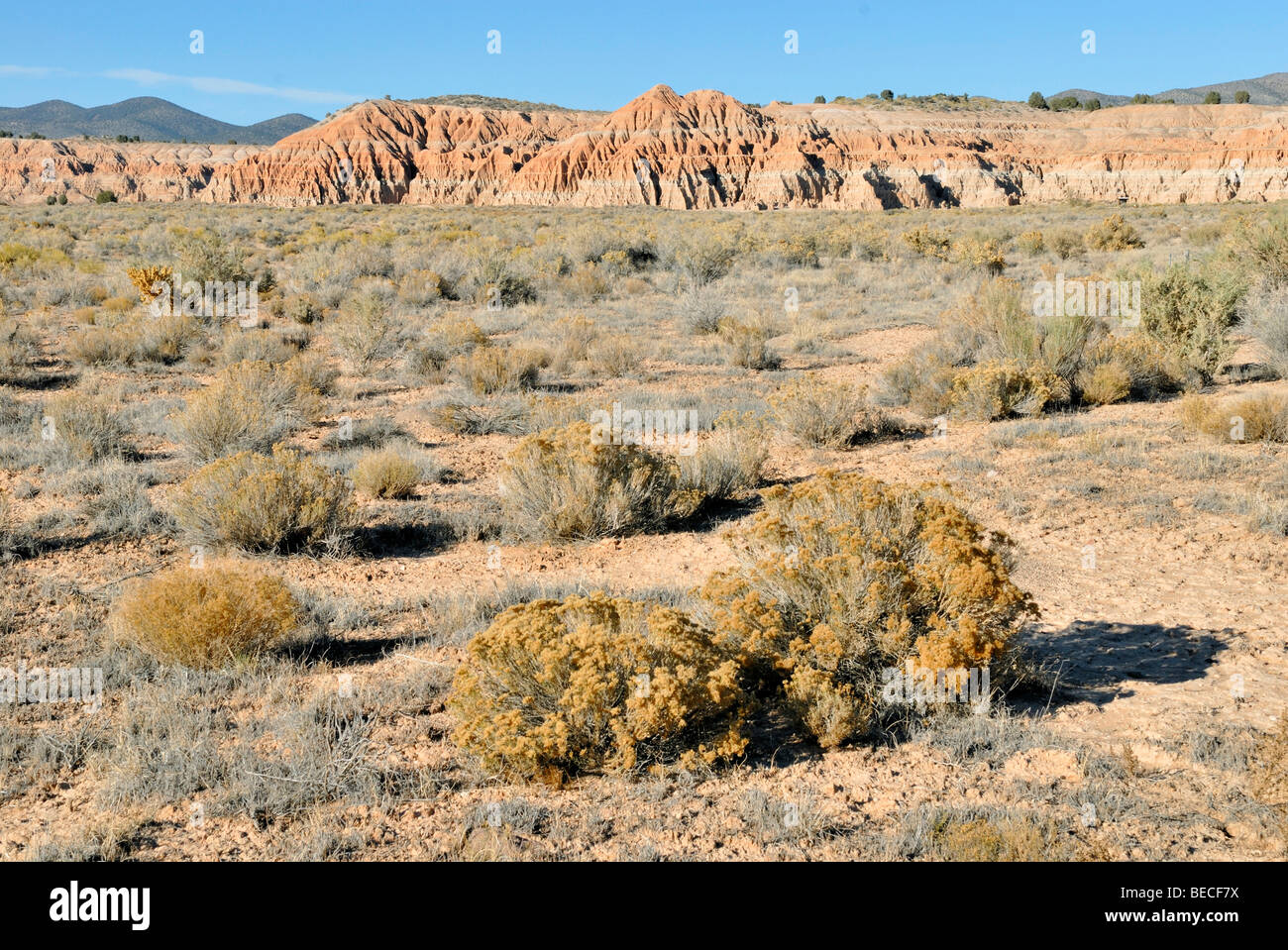 Barrera rocosa en la Catedral Gorge State Park cerca de Pioche, Nevada, EE.UU. Foto de stock