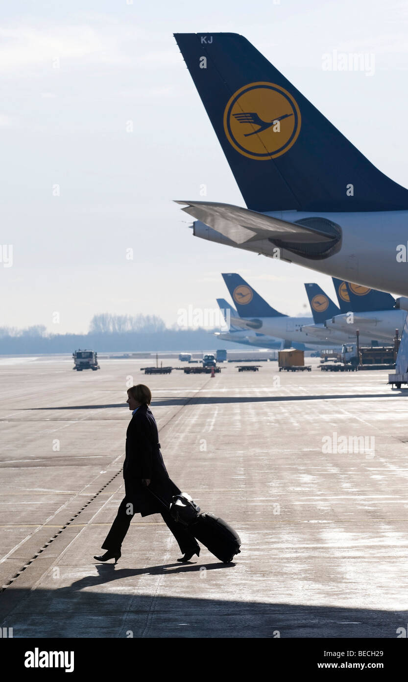 Una azafata de la compañía aérea alemana Lufthansa caminando por una fila de aviones de Lufthansa, el aeropuerto de Munich, Baviera, Alemania, Europa Foto de stock