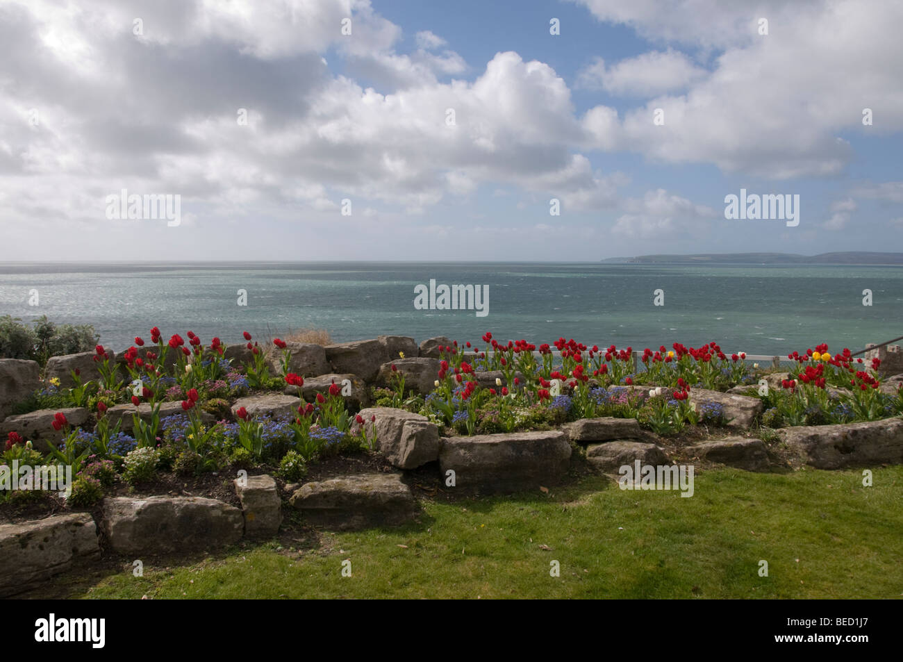 Un acantilado, jardín de flores municipal en Bournemouth, una rocalla con tulipanes rojos, con el mar y un cielo nublado. Foto de stock