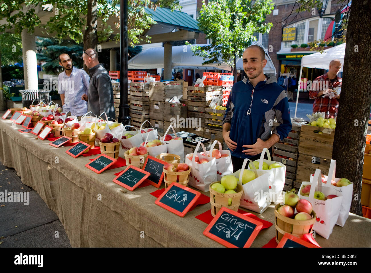 Manzanas para venta en Apple Festival anual sobre el Commons en Ithaca