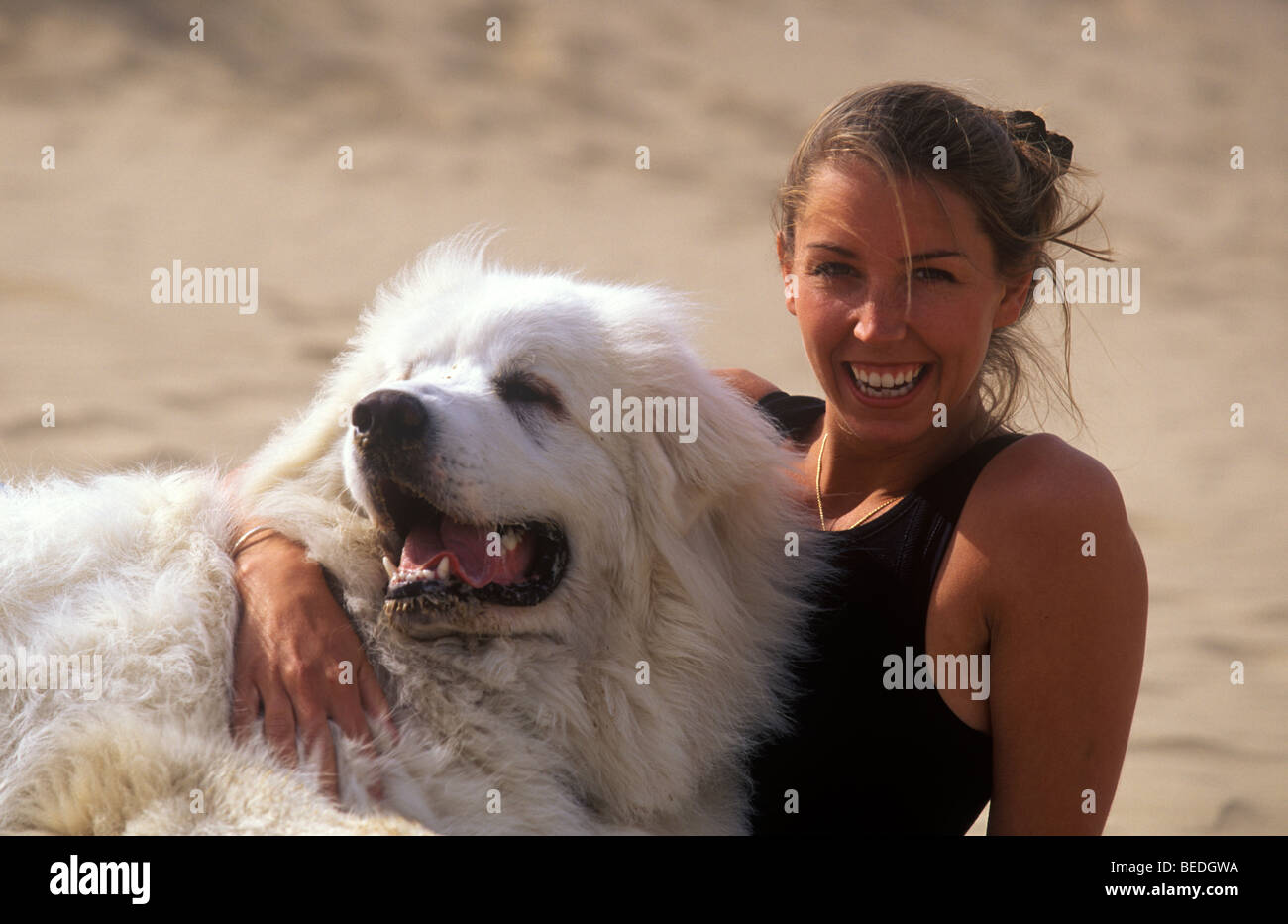 Mujer joven fuera de caricias muy grandes mullidas perro blanco Foto de stock