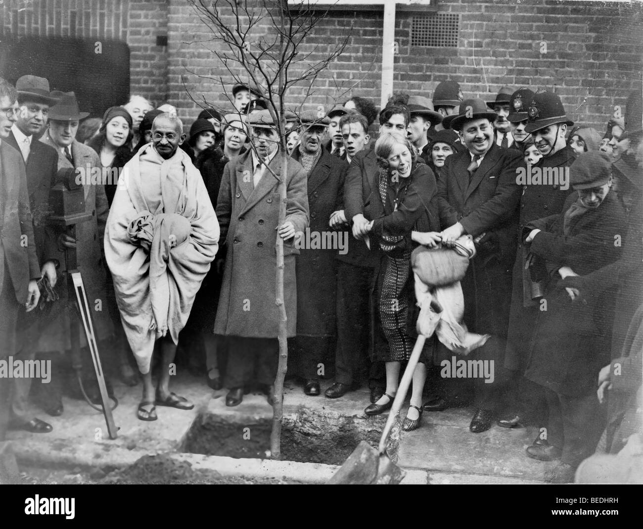 Como una muestra de agradecimiento, el Mahatma Gandhi, la segunda a la izquierda del árbol, plantaron un árbol fuera de Kingsley Hall en Londres el 3 de diciembre de 1931. Foto de stock