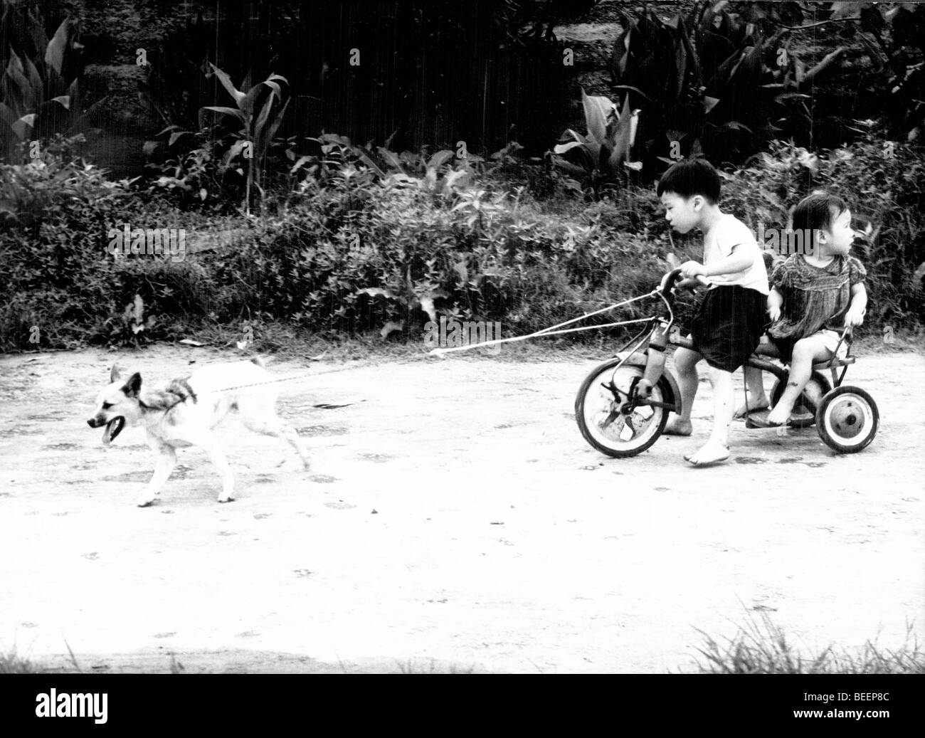 Los niños viajen en triciclo en China Foto de stock