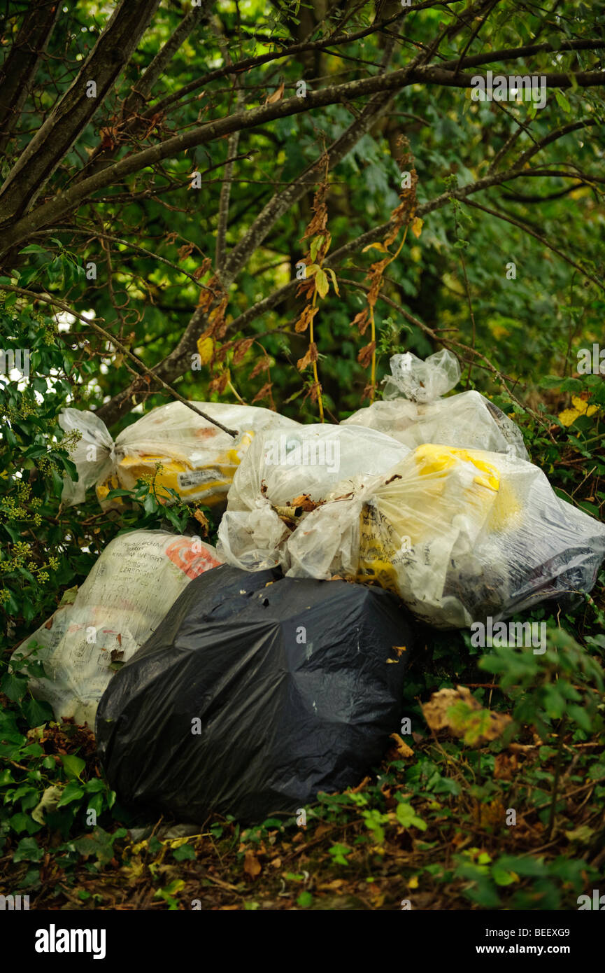 Las bolsas de plástico de basura doméstica con punta de mosca ilegalmente en el sotobosque del bosque campo, Gales, Reino Unido Foto de stock