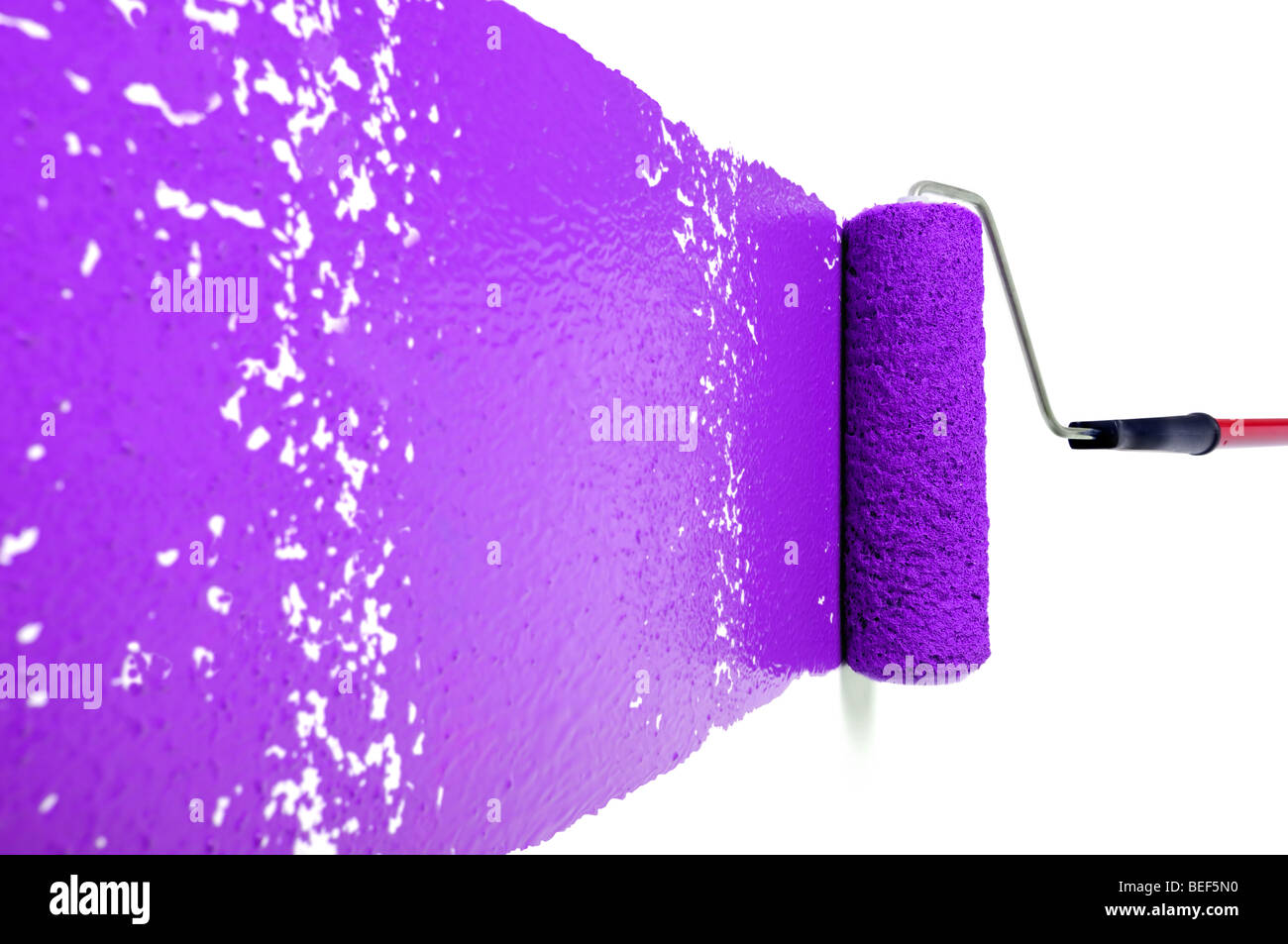 Dolor el rodillo con pintura púrpura sobre pared blanca Foto de stock